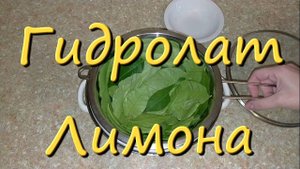 Гидролат Для Лица Свойства Лимона Для Кожи Гидролат Домашний