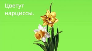 Learn Russian Russian Spring