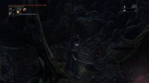 Bloodborne Запретный лес 🌳 как активировать два лифта? Срезы и шорткаты Запретный лес прохождение