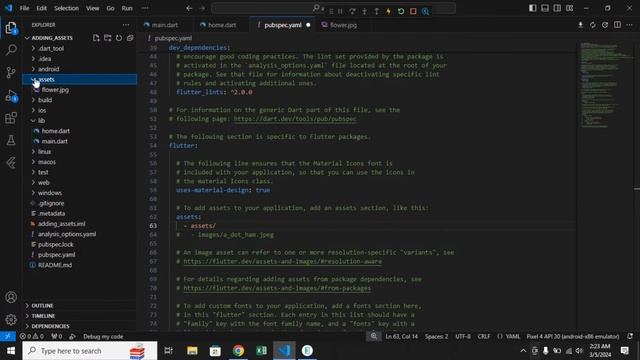 Unable to load asset image Flutter error | Using asset image in flutter | 2024 | SOLVED 100%