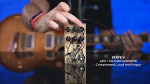 Walrus Audio EONS Five-State Fuzz Review