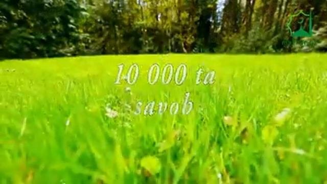 Соловат
