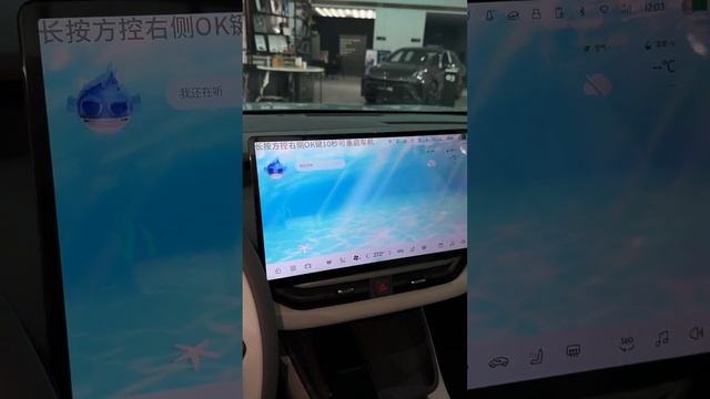 2024 Lynk  Co 06 EM-P 126 long battery life Halo LynkCo06emp