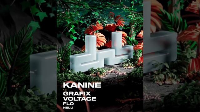 Kanine - Grafix