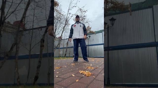 Ицюань онлайн / Фуань Чжуан / Перемещение по дуге - Хуанчжао / Комплекс Казуми (22.10.24)