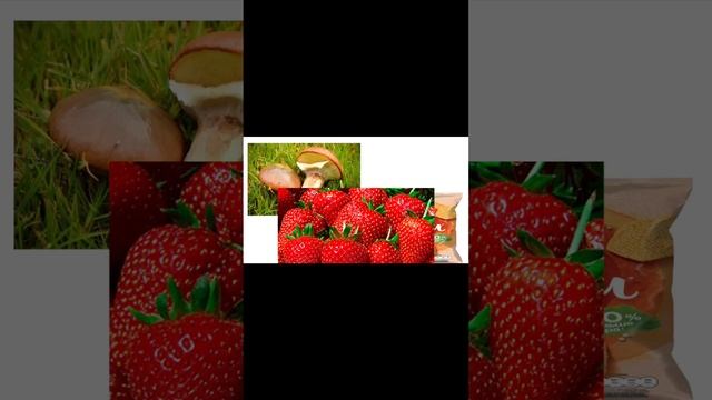 Время замутить перекусончик!