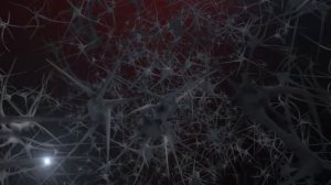 ЦЕРЕБРУМ АССИСТ — «Думаем не долго, а всегда!»