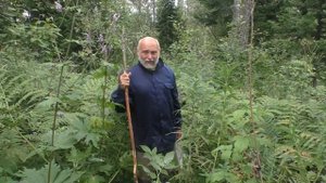 Кто куда,а мы за грибами