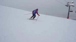 Горные лыжи Salomon S/Force Fx.80 2021-2022. Обзор