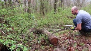 Katana Folding Saw 650mm