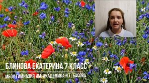 "Полевые цветы". Блинова Екатерина 7 класс, МБОУ «Гимназия им. академика Н.Г. Басова»