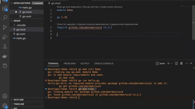 mod in go | go mod | go module dependency