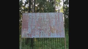 Территория заброшенного пионерского лагеря "Энергия"