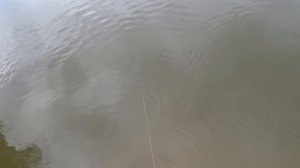 Рыбалка в ураган на Ахтубе...сазан клюет!!!!