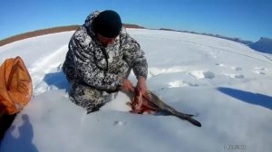 Как пожарить налима. Чудо сковорода