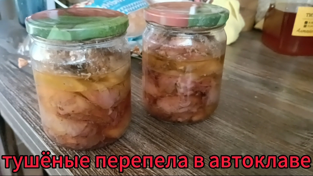 Один день из жизни перепёлок...