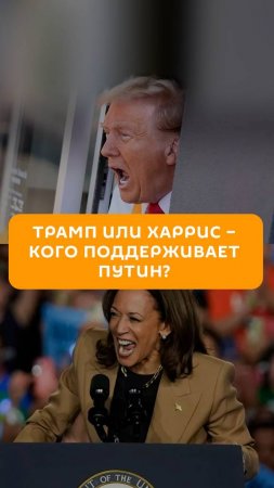 Трамп или Харрис – кого поддерживает Путин?