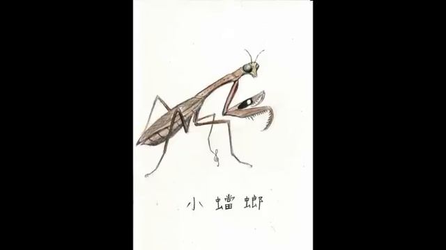 川上統 組曲「蟷螂綵絵」より「小蟷螂」コカマキリ смотреть онлайн