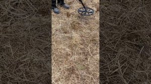 Stalker vs Vanquish : короткий беглый тест в глине