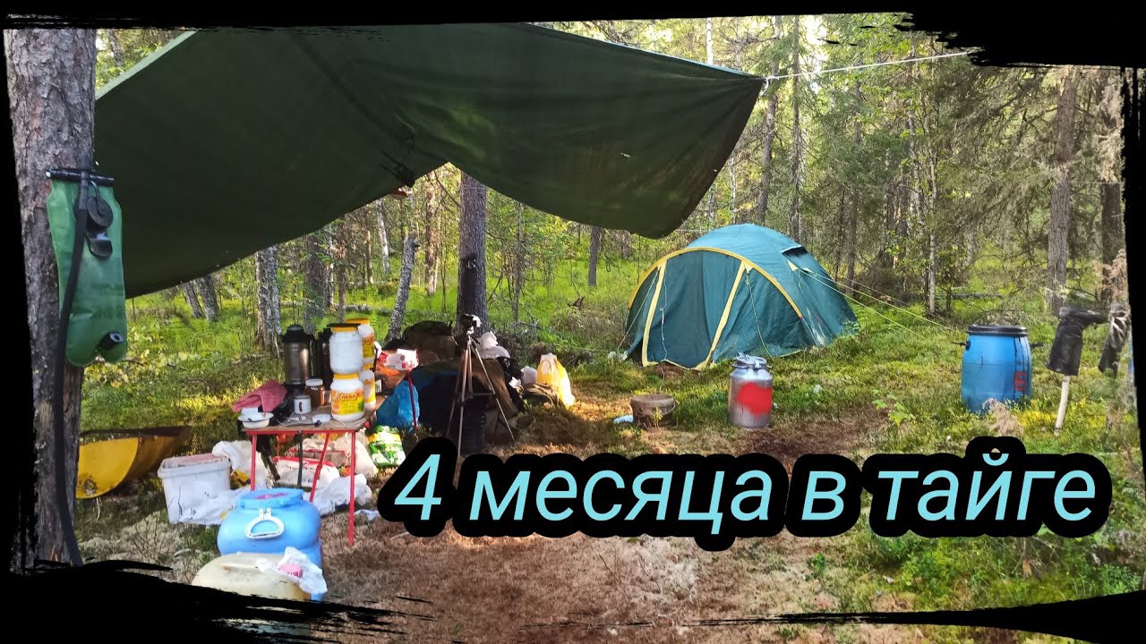 Жизнь в тайге, Новый кластер. Первая точка. Серия 24