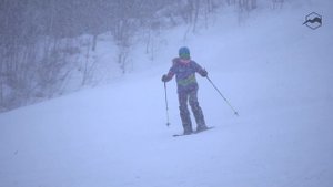 Горные лыжи Atomic Cloud 9. Тесты 2020/2021