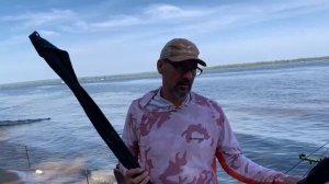 Анонс Батла на Кубок Тайсона 1+1
Фидер/Волга/Vabik