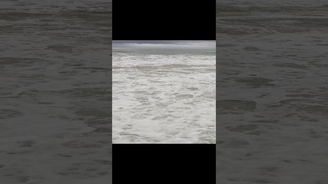 Сочи декабрь 2023