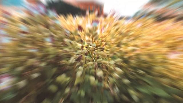 THAILAND 2018 | Iphone 7 Plus | DJI Osmo Mobile 2 | Edit Lumafusion смотреть онлайн