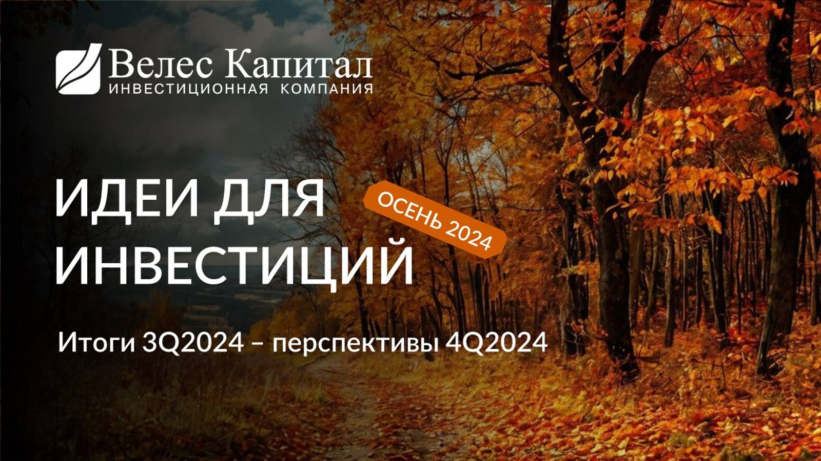 Идеи для инвестиций: итоги третьего квартала 2024 года