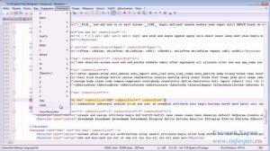 notepad++