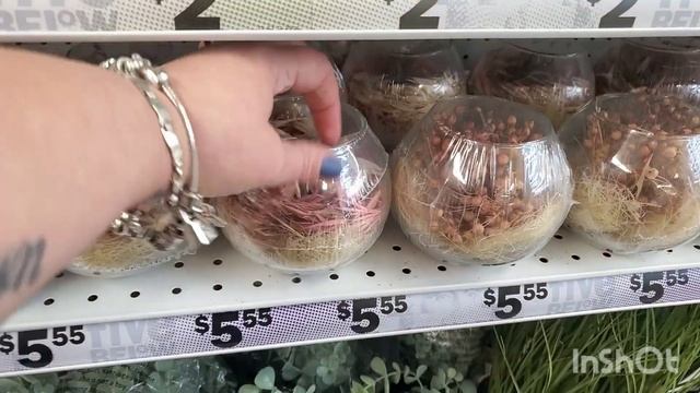 Needed to see what it was like feel like I'm having an affair cheating on the dollar tree @5 below