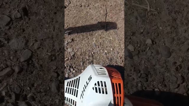 Бензокоса STIHL FS 55#приколы смотреть онлайн