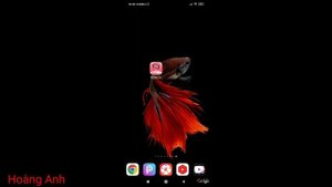 App Live china show full bản mod xem full phòng khóa cho ae