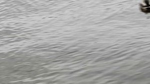 Лахта центр