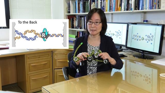 Untangling DNA during Replication / Cell, October 17, 2019 (Vol. 179, Issue 3) смотреть онлайн