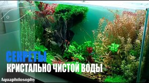 Кристально чистая вода в аквариуме