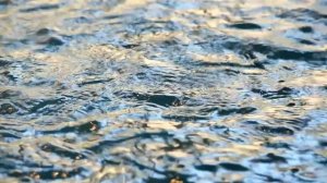 Медитация исцеления дома