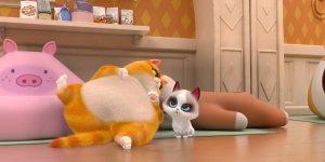 Корги по имени Моко. Домашние животные 2, 4 серия. Ты тут?