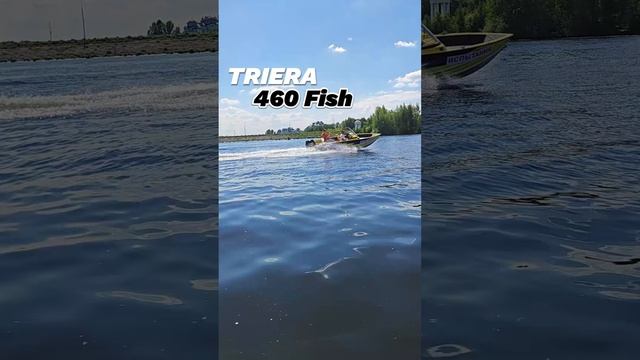 Триера 460 Фиш Бестселлер 2024 года!!! #триера #триера460 #рыбалка #комфорт #лодка #бестселлер смотреть онлайн