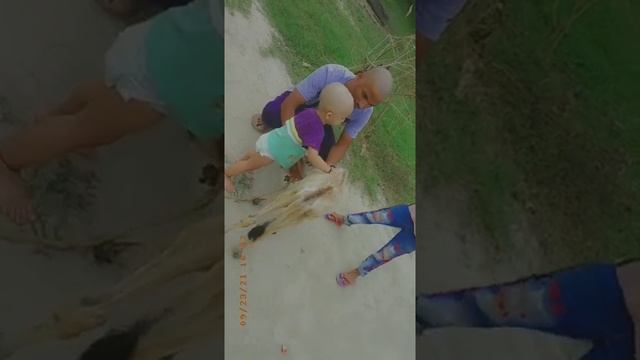 baby boy playing with cow // happiest moment for the baby boy (2) смотреть онлайн