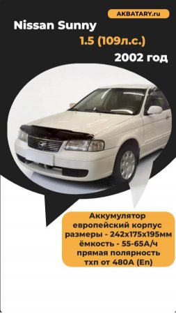 Nissan Sunny 2002 год - какие аккумуляторы можно установить?