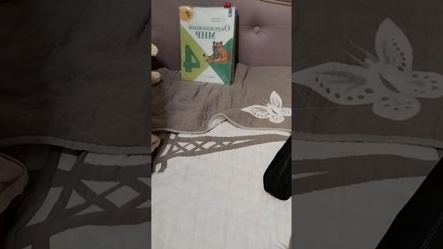 как быстро собрать портфель в школу🍋🟩 🍁🍄🍂