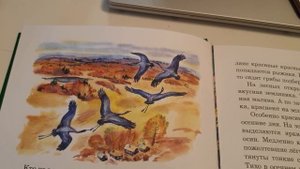 5 класс: Соколов-Микитов "Русский лес", "Лоси" 28.03.2020