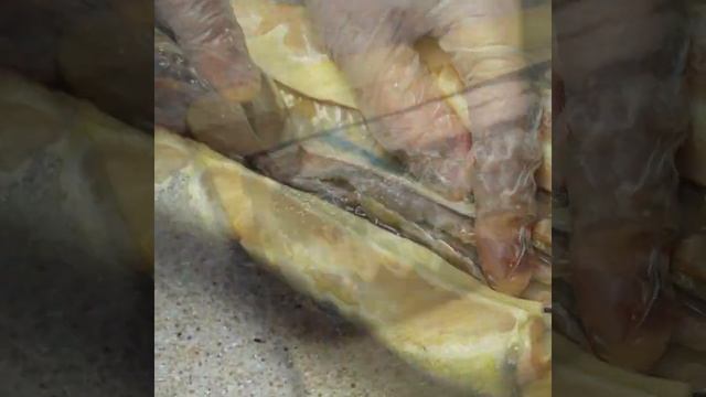 thumb-Осетр охлажденный романовский ~1.5кг-4}