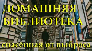 СПАСЕННАЯ ДОМАШНЯЯ БИБЛИОТЕКА || ОБЗОР КНИГ