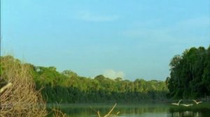 BBC. Твои весёлые друзья зверята 15 серия (документальный сериал, 2004-2009)