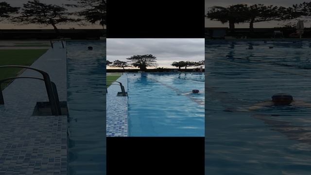 декабрь 2023 сочи