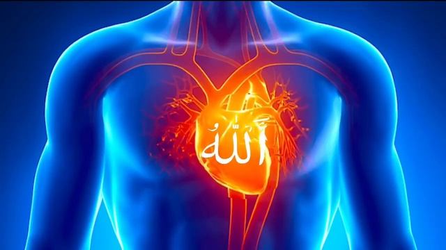 Зикр ,, Аллагьу Аллагь ,, очищает сердце и удаляет плохие мысли