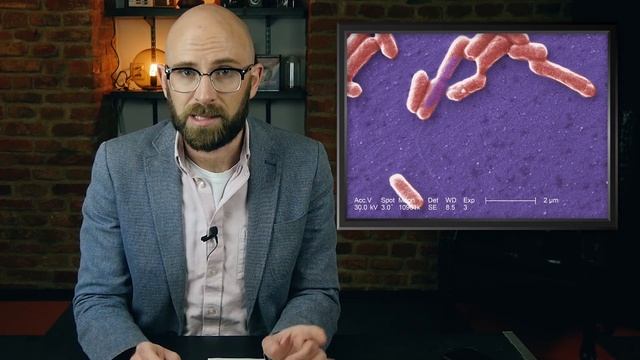 Do Paper Toilet Seat Liners Actually Protect You from Diseases? смотреть онлайн