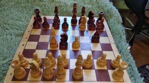 ШАХМАТЫ. ЛОВУШКА! И БЫСТРЫЙ МАТ. #Шахматы #Спорт